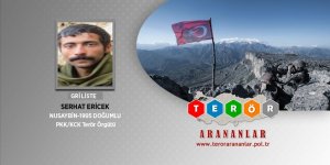 Mardin'de etkisiz hale getirilen teröristlerden birinin gri kategoride arandığı belirlendi