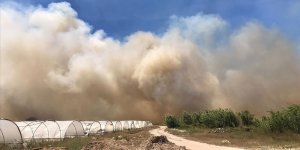 Antalya'da sazlık alanda çıkan yangın kontrol altına alınmaya çalışılıyor