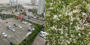 Ankara'nın bazı bölgelerine dolu yağdı