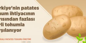 Türkiye'nin patates tohum ihtiyacının yarısından fazlası yerli tohumla karşılanıyor