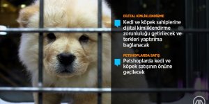 AK Parti, hayvanların korunmasına ilişkin kanun teklifini TBMM'ye sundu