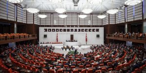 Hayvanların korunmasına ilişkin kanun teklifi TBMM Genel Kurulu'nda kabul edildi