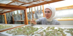 Emine Erdoğan'dan Zeytinburnu Tıbbi Bitkiler Bahçesi'ne ziyaret