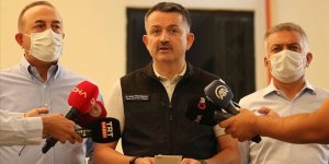 Pakdemirli: Manavgat yangını kontrol altında ancak Akseki'de devam eden bir yangın var