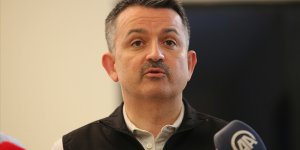 Tarım ve Orman Bakanı Pakdemirli: Yangınların sebebiyle ilgili çok yönlü soruşturma yapılıyor