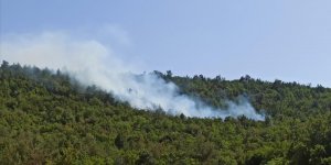 Balıkesir'de ormanlık alanda çıkan örtü yangını kontrol altına alındı