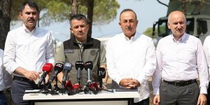 Bakan Pakdemirli: Yangınların 57'sini kontrol altına aldık