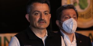 Bakan Pakdemirli: 125 yangının 117'si ya tamamen söndürüldü ya kontrol altına alındı