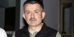 Tarım ve Orman Bakanı Pakdemirli: 38 ilde 163 yangın çıktı, 152 tanesi söndürüldü