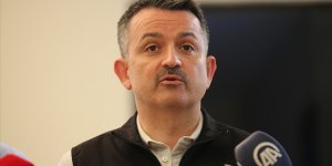 Tarım ve Orman Bakanı Pakdemirli: Son ateş sönene kadar devam