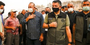 Bakan Pakdemirli: 33 ilde 167 yangın kontrol altına alındı