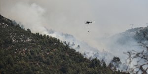 OGM: 208 orman yangınından 196'sı kontrol altına alındı