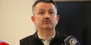 Pakdemirli: Milas ve Köyceğiz yangınları dışında tüm orman yangınları kontrol altına alınmıştır