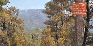 Muğla'da ormanlık alanlara görevliler dışındakilerin girmesi yasaklandı