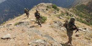 Pençe-Şimşek operasyonu bölgesinde 2 PKK'lı terörist etkisiz hale getirildi