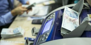 10 ilde yangınlardan zarar gören üretici ve yetiştiricilere TARSİM'den 9,5 milyon lira hasar ödemesi yapıldı