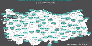 Her 100 bin kişideki Kovid-19 vaka sayısı İstanbul, Ankara ve İzmir'de azaldı