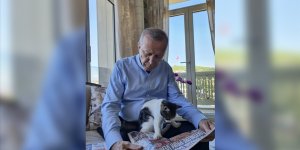 Cumhurbaşkanı Erdoğan torununun kedisiyle fotoğrafını paylaştı