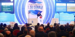Bakan Pakdemirli: 1. Su Şurası Sonuç Bildirgesi'yle Su Kanunu'nu TBMM'ye sunmak istiyoruz