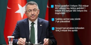 Cumhurbaşkanı Yardımcısı Oktay: 2022 yılı bütçesi yeşil kalkınma devrimi gibi milli hedeflerimizde kilometre taşı olacak