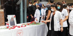 Ankara Şehir Hastanesi'nden trafik kazasında vefat eden doktorla ilgili açıklama
