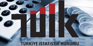 Ekimde fiyatı en fazla artan ürün kadın hırkası, en çok düşen limon oldu