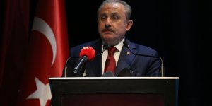 TBMM Başkanı Şentop Karabağ Zaferi'nin 1. yıl dönümünü kutladı