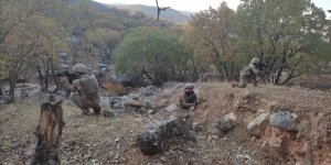 Siirt'te 'Eren Kış-5 Şehit Jandarma Üsteğmen Ersan Yenici' Operasyonu başlatıldı