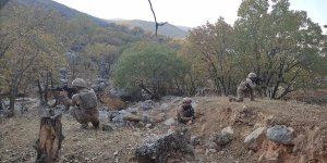 Bitlis'te Eren Kış-7 Şehit Jandarma Teğmen Baki Koçak Operasyonu başlatıldı