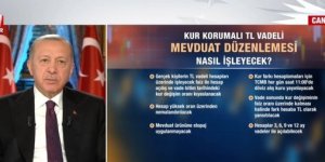Cumhurbaşkanı Erdoğan'dan gündeme ilişkin flaş açıklamalar