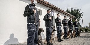 Jandarmanın eğitimli köpekleri terörle ve suçla mücadelede görev alıyor
