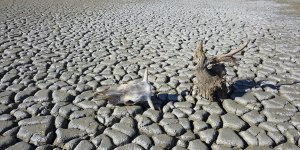 İklim Değişikliği ve Uyum Koordinasyon Kurulu ilk toplantısını 11 Ocak'ta yapacak