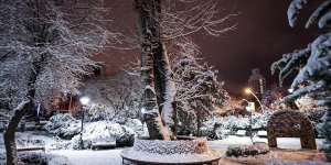 Ankara'nın simgelerinden Kuğulu Park beyaza büründü