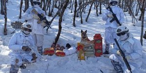 Diyarbakır'da Eren Kış-21 Operasyonu başlatıldı