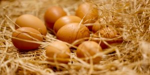 Ticaret Bakanlığı, KDV indirimi öncesindeki yumurta zammına ilişkin müfettiş görevlendirdi