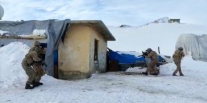 Van'da terör operasyonlarında bir haftada 16 şüpheli gözaltına alındı