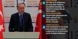 Erdoğan: Rusya ile Ukrayna arasında kalıcı barışın tesisi yapılmış en hayırlı işlerden biri olacak