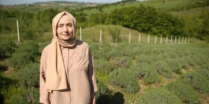 Girişimci kadın tarıma kazandırdığı arazide lavanta yetiştiriyor