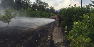 Muğla'da tarım arazisi ve otluk alanda çıkan yangınlar söndürüldü