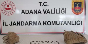 Adana'da mamut çenesi olduğu değerlendirilen iki fosil ele geçirildi!
