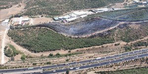 İzmir'de ormanlık alanda çıkan yangın kontrol altına alındı