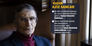 Nobel ödüllü Prof. Dr. Sancar, beyin kanseri çalışmasını AA'ya anlattı