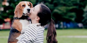 Araştırma: Sahiplerine kavuşan köpekler sevinçten ağlayabilir