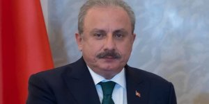 TBMM Başkanı Şentop, Dünya Kız Çocukları Günü'nü kutladı