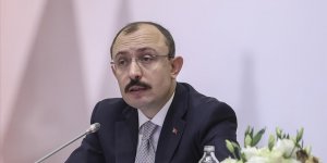 Muş: "Gümrük Birliği'nin modernizasyonuna çok ihtiyacımız var"