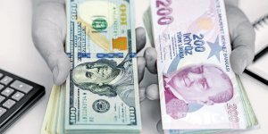 Kur korumalı mevduat ve katılma hesabı açabilmek için süre 1 yıl uzatıldı