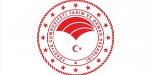 Orman Genel Müdürlüğü 249 sözleşmeli orman mühendisi alacak