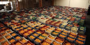 Tarım sektöründen ihracatta ocak rekoru