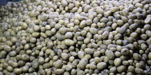 Mayısta fiyatı en fazla artan ürün "patates ve bazı yumru bitkiler", en fazla düşen "doğal gaz" oldu