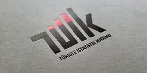 TÜİK mayıs ayı dış ticaret endekslerini açıkladı